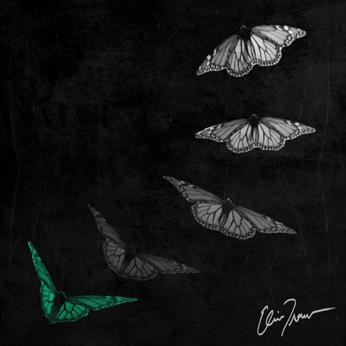 Slipping Away