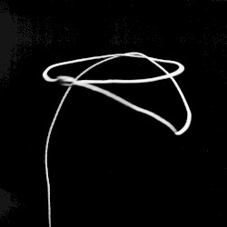LASSO
