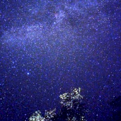 2000 Stars