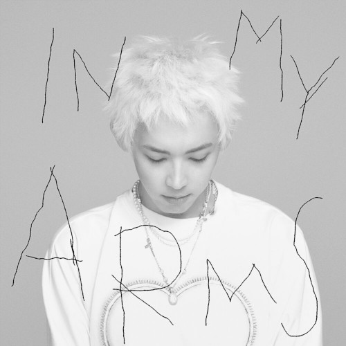 IN MY ARMS