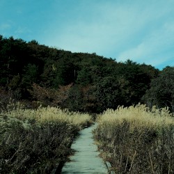 Log 24