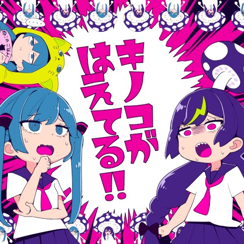 キノコがはえてる!!