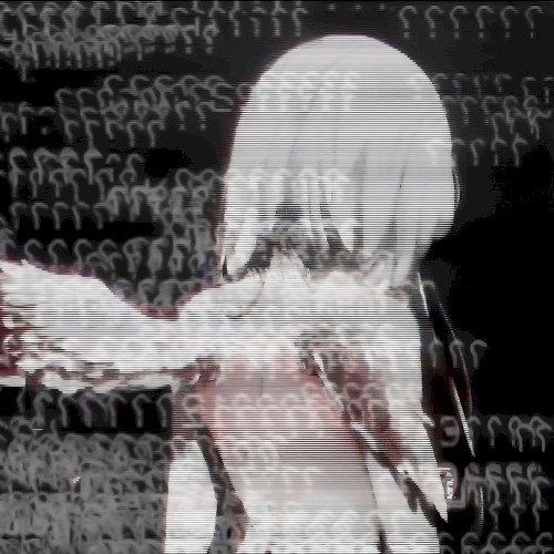 net suffering