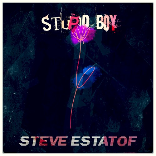 Stupid Boy