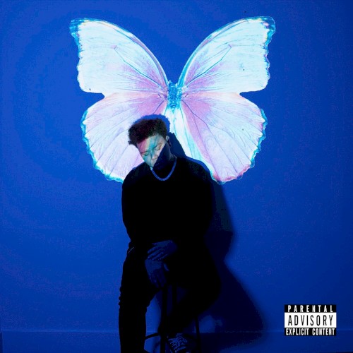 The Butterfly Effect