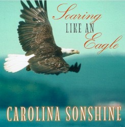 Soaring Like an Eagle