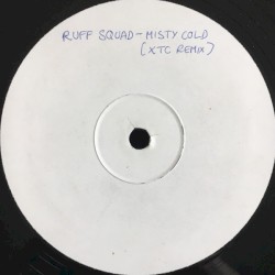 Misty Cold (Remix)