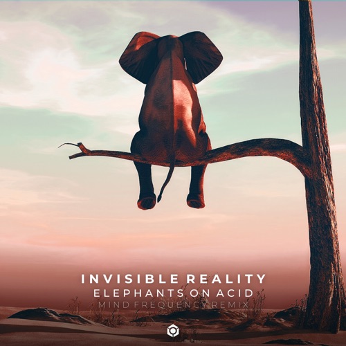 Elephants on Acid (Mind Frequency remix)