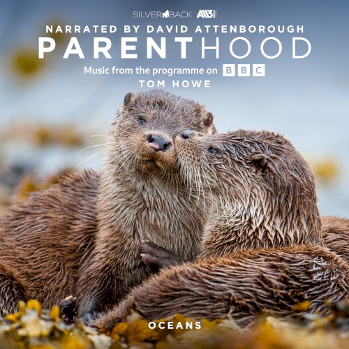Parenthood: Oceans (Music From The Programme On BBC)