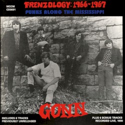 Frenzology: 1966-1967 (Punks Along The Mississippi)