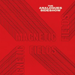 Magnetic Fields