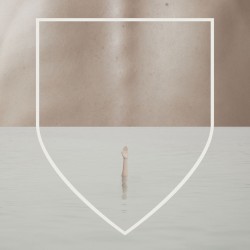 Arms of a Dream