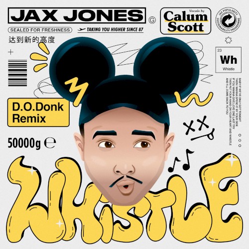 Whistle (D.O.Donk remix)