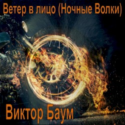 Ветер в лицо (Ночные Волки)