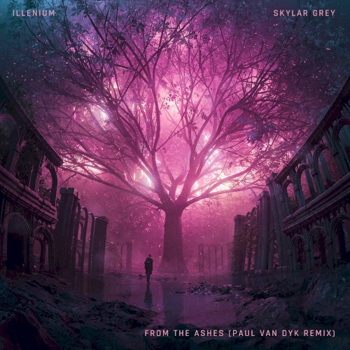 From the Ashes (Paul van Dyk remix)