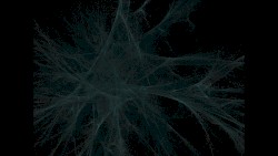 Facing the Void
