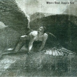 Where Dead Angels Lie