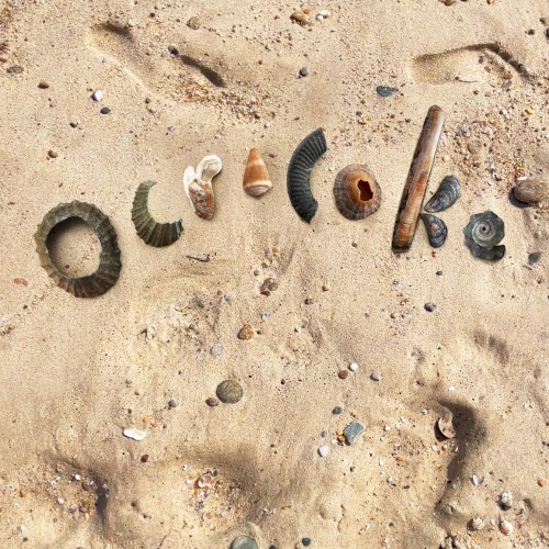 Ocracoke