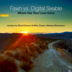 Where Has Your Love Gone (remixes)