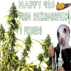 Happy 420