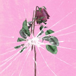 Toxicity