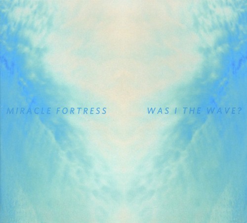 Was I the Wave?
