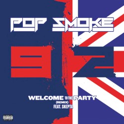 Welcome to the Party (remix)