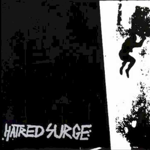 Hatred Surge