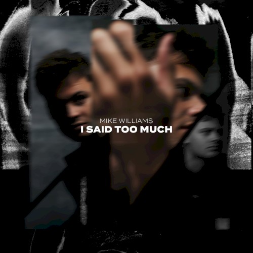 I Said Too Much