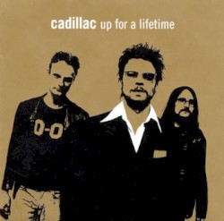 Up for a Lifetime