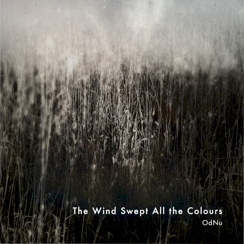 The Wind Swept All the Colours