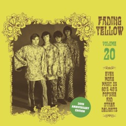 Fading Yellow Volume 20 (Even More Magic US 60's 45's Popsike And Other Delights)