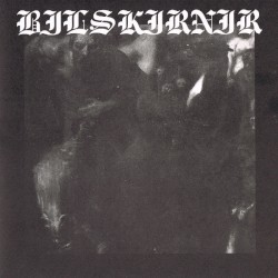 Bilskirnir
