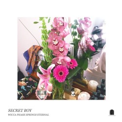 Secret Boy