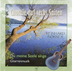 Choräle auf sechs Saiten: Du meine Seele singe