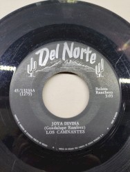 Mi destino es sufrir / Joya devina