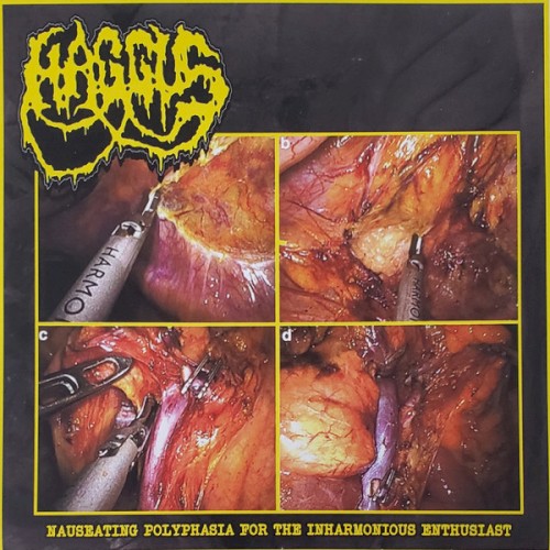 Nauseating Polyphasia for the Inharmonious Enthusiast