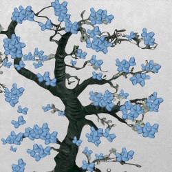 butterflies