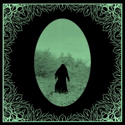 The Forest Howls at Dusk