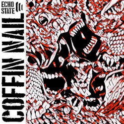 Echo State