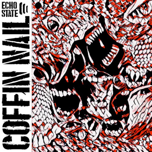 Echo State
