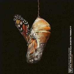 All Your Love (Remixes)