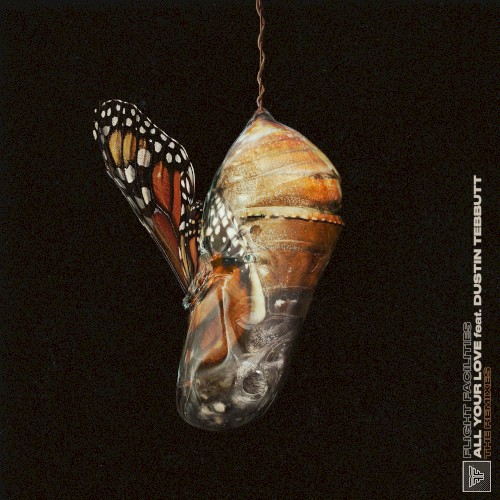 All Your Love (Remixes)