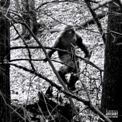 Bigfoot