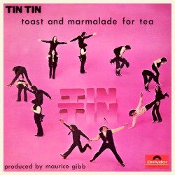 Tin Tin