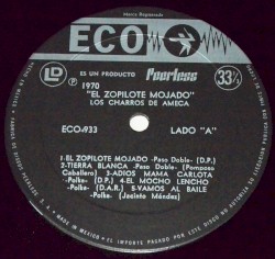 El zopilote mojado