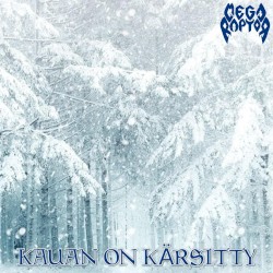 Kauan on Kärsitty