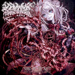 Song of the Neet