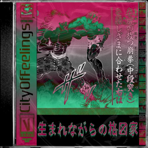 生まれながらの格闘家 // a born fighter