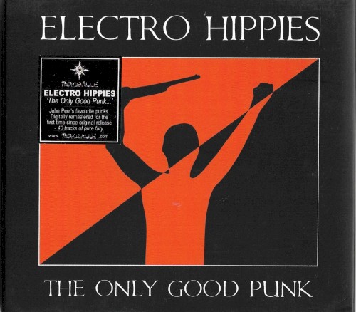 The Only Good Punk